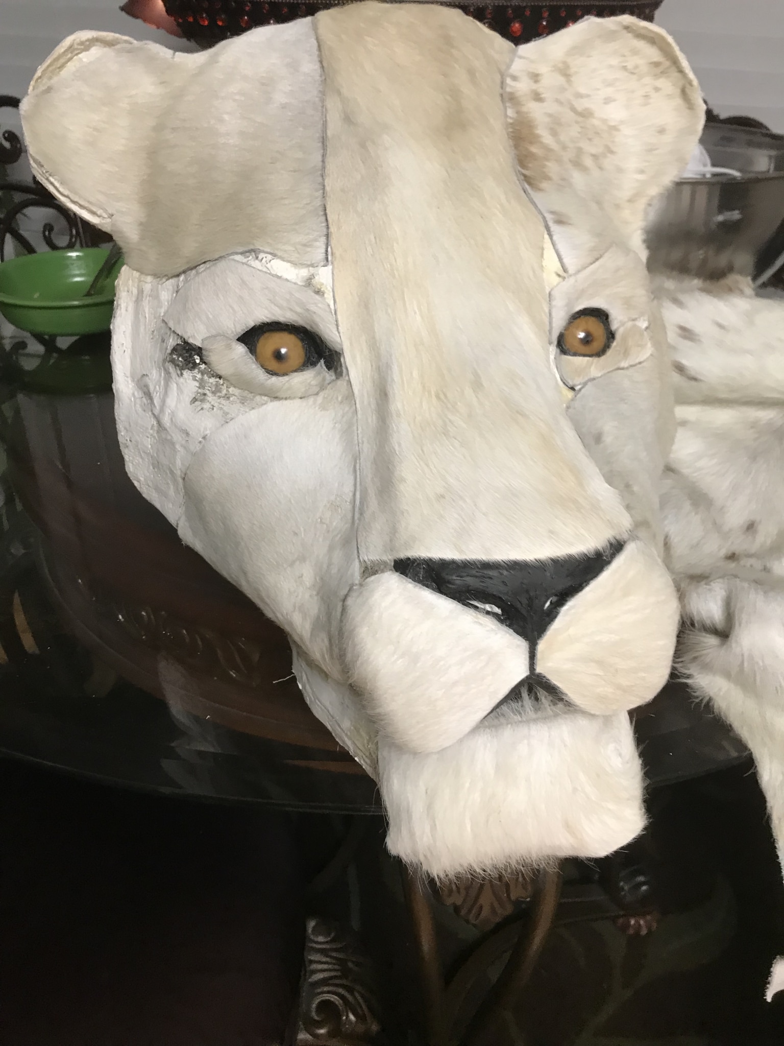 Paper mache lion head for rug