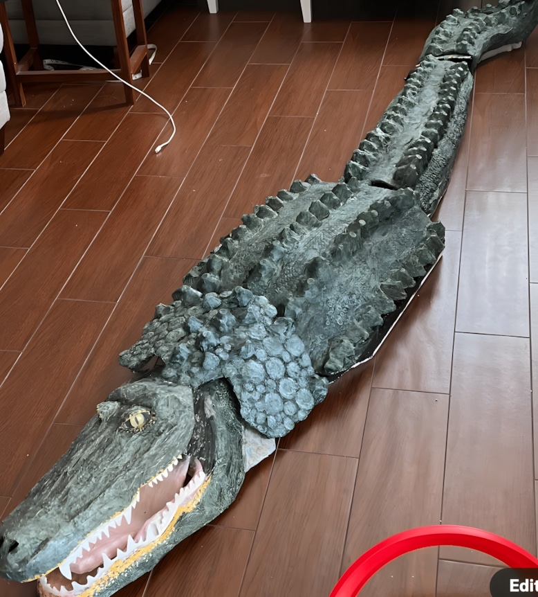 10 ft Alligator