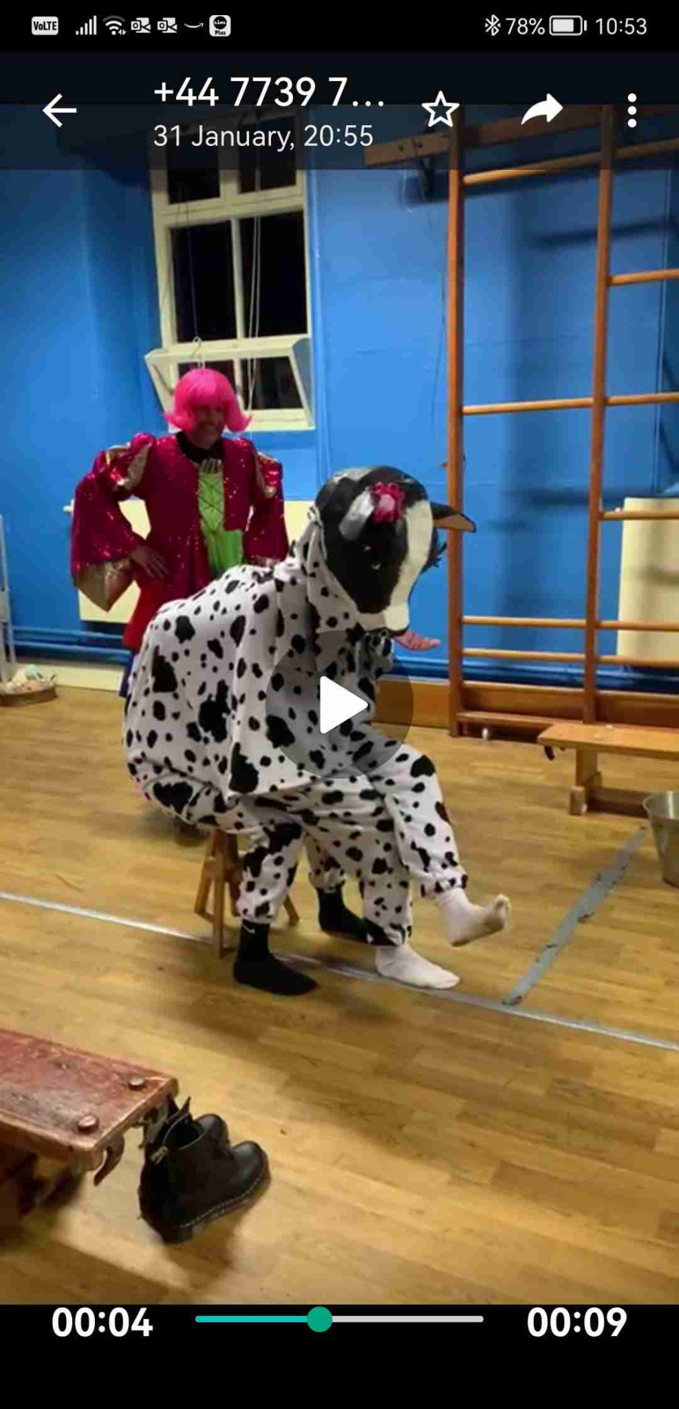 Daisy panto cow 1 Daisy panto cow costume with paper mache head