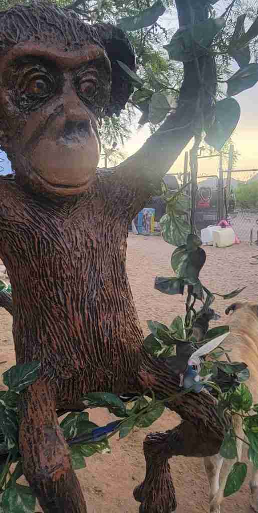 Just monkeying around 2 Outdoor monkey sculpture Made by Annette Collett