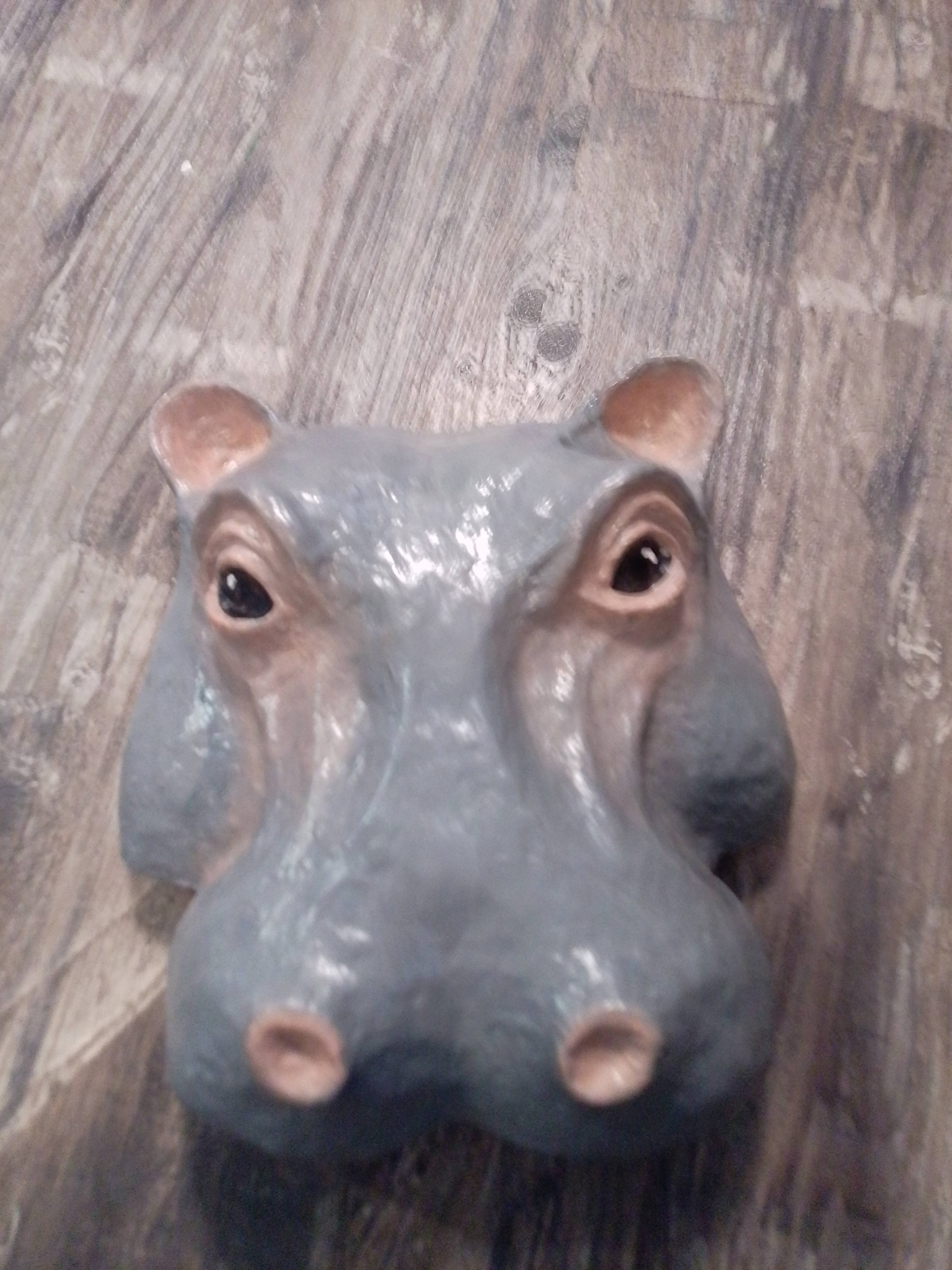 Hippo Sculpture Pattern 14 Harry the Hippo Wall sculpture made by Yvonne Dean
