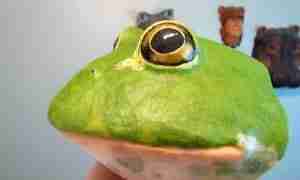 Froggy 2 African bullfrog wall sculpture pattern