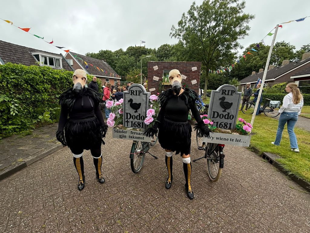 Dodo masks Made by Gemma Van Nimwegen